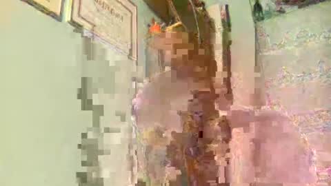 Snapshot of freddy3399 chatting on 12-17-24, 02:44 freddy3399 online show from 12-17-24, 02:44