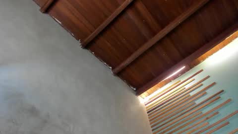 Xavier online show from 03-06-26, 02:08