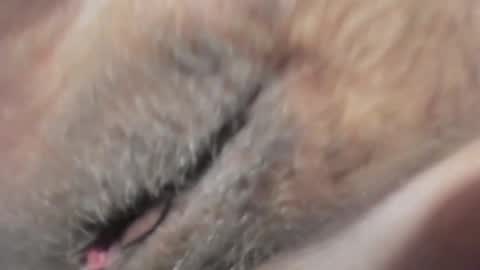 FrumCake online show from 01-10-25, 12:27