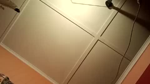 Snapshot of fucmebudoo chatting on 07-13-26, 04:37 Warwick online show from 07-13-26, 04:37