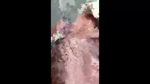 fukitol73 online show from 04-19-26, 09:28