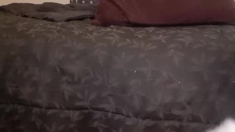 Snapshot of full4cefull chatting on 01-14-25, 07:06 Pizzaz online show from 01-14-25, 07:06