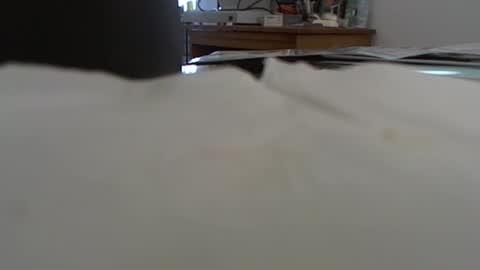 Snapshot of funone8848 chatting on 01-13-25, 08:04 funone8848 online show from 01-13-25, 08:04