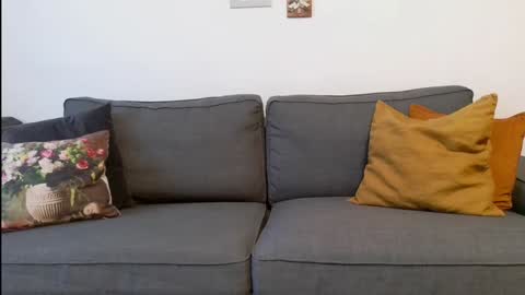 Snapshot of funservice chatting on 12-17-24, 09:17 funservice online show from 12-17-24, 09:17