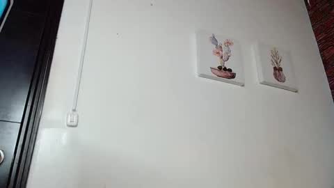 FIRE AND FOX online show from 03-04-25, 11:00