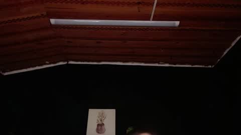 FIRE AND FOX online show from 11-18-25, 06:56