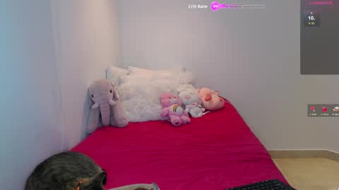 .  online show from 02-26-26, 04:11