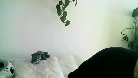 Gael Garca online show from 02-11-26, 06:02