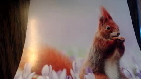 galera100 online show from 03-03-26, 08:31