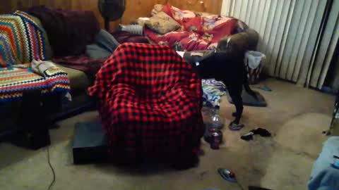 gamerfiend420 online show from 10-17-25, 01:53