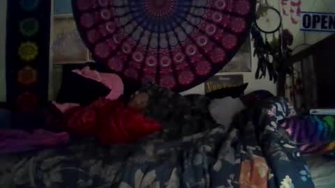 Gardenia online show from 02-15-26, 08:46