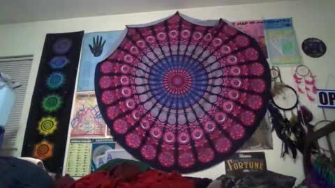 Gardenia online show from 03-20-26, 09:36