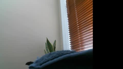 Lisa online show from 12-27-24, 07:14