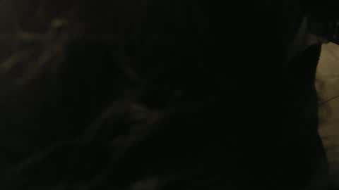 Gary online show from 01-09-25, 12:46