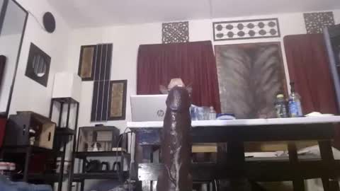 gatewaylaptop2019 online show from 04-12-26, 06:07