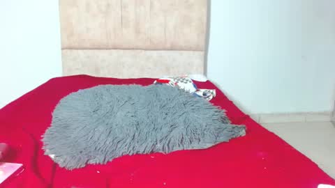 gatita13333321 online show from 01-28-25, 06:05