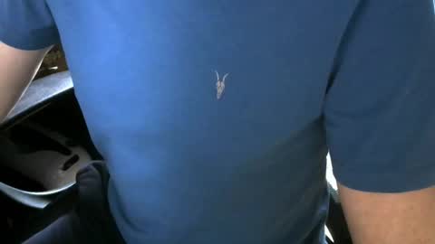 Snapshot of gay_slave_on_cam chatting on 10-05-25, 09:40 gay slave on cam online show from 10-05-25, 09:40