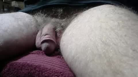 gemini_2 online show from 12-29-24, 02:21