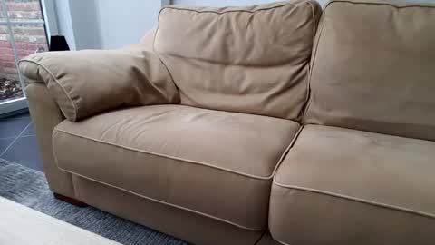 Gentle online show from 12-30-24, 10:43