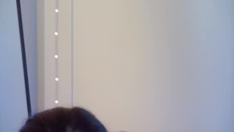 Snapshot of gentlerossi chatting on 10-01-25, 04:02 GentleRossi online show from 10-01-25, 04:02