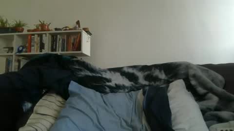 Geon online show from 03-27-26, 07:25