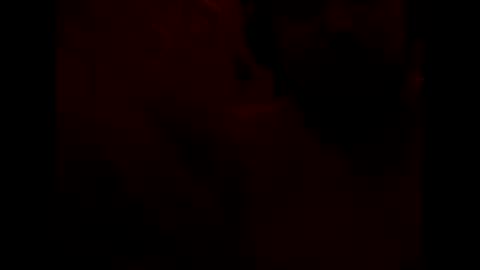 GeOOXXX online show from 04-09-26, 12:21