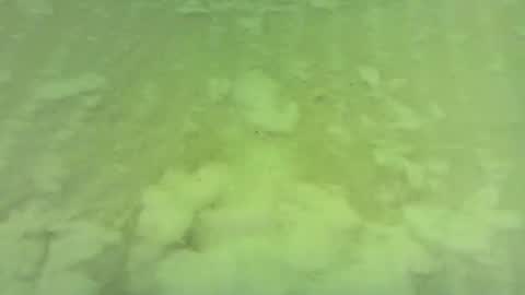 Snapshot of georgempt chatting on 06-15-26, 05:42 georgempt online show from 06-15-26, 05:42