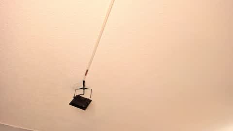 Georgina  online show from 03-15-26, 11:05