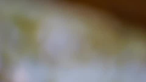 germanandy71 online show from 11-20-25, 08:14