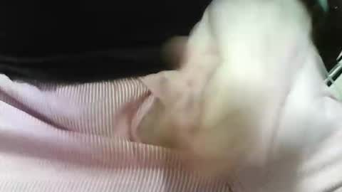 Snapshot of germandaddydick1 chatting on 10-25-25, 08:03 germandaddydick1 online show from 10-25-25, 08:03