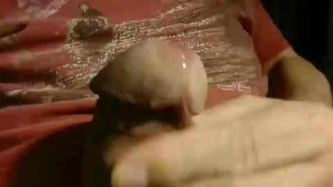 gettingstiff online show from 01-12-26, 12:10