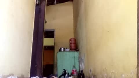 Gaby online show from 10-11-25, 02:15