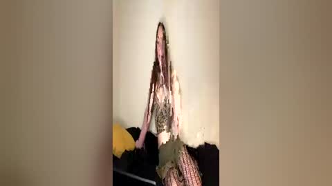 ghostpetal online show from 06-11-26, 11:14