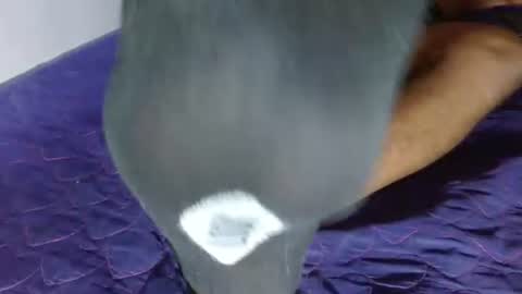 Snapshot of giant_feet chatting on 08-05-26, 10:23 BOSS online show from 08-05-26, 10:23
