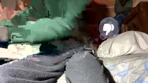 Corrado online show from 01-12-25, 02:30