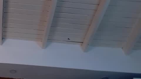 gigi wilden online show from 02-19-25, 08:20