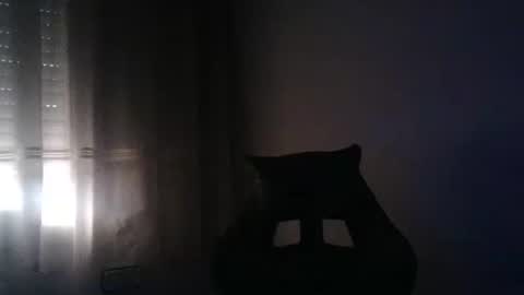 Snapshot of gioshadow chatting on 05-26-26, 03:52 gioshadow online show from 05-26-26, 03:52