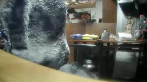 giovanne1 online show from 12-08-24, 06:22