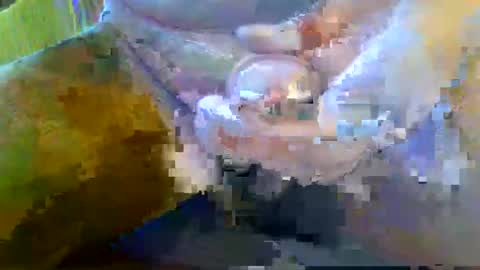 Snapshot of girafsnoop chatting on 09-28-25, 08:09 girafsnoop online show from 09-28-25, 08:09