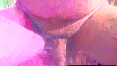 Snapshot of girafsnoop chatting on 12-01-25, 04:01 girafsnoop online show from 12-01-25, 04:01