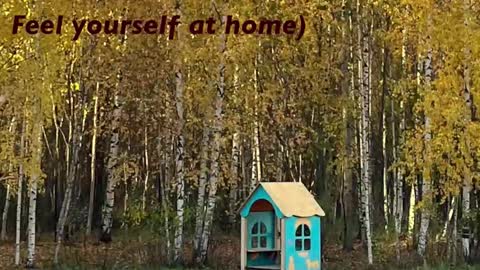 Kristin  online show from 02-22-26, 05:33