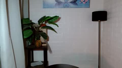 Snapshot of girlwhobelieveinmagic chatting on 01-28-25, 04:18 Callmenor online show from 01-28-25, 04:18