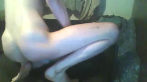 girthdoctor online show from 12-03-25, 01:02