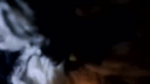 Snapshot of glizzy4u chatting on 12-19-25, 05:31 glizzy4u online show from 12-19-25, 05:31