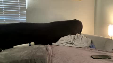 Snapshot of goddessmayvn chatting on 07-02-26, 02:33 GoddessMayvn online show from 07-02-26, 02:33