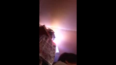 gofredgo19 online show from 04-04-26, 08:12