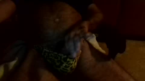 gojo885 online show from 01-13-25, 03:23