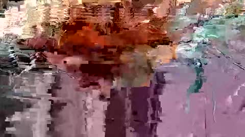 gonadalache online show from 11-17-25, 03:56