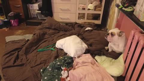 graylovescookies online show from 12-29-24, 03:03