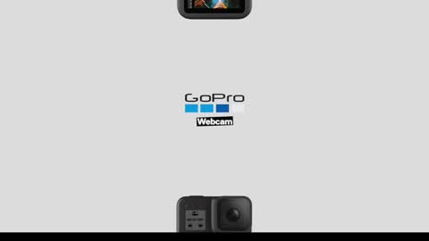 Greenlungs8195 online show from 12-09-24, 07:06